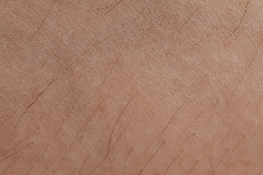 Close-up of skin texture showing fine detail