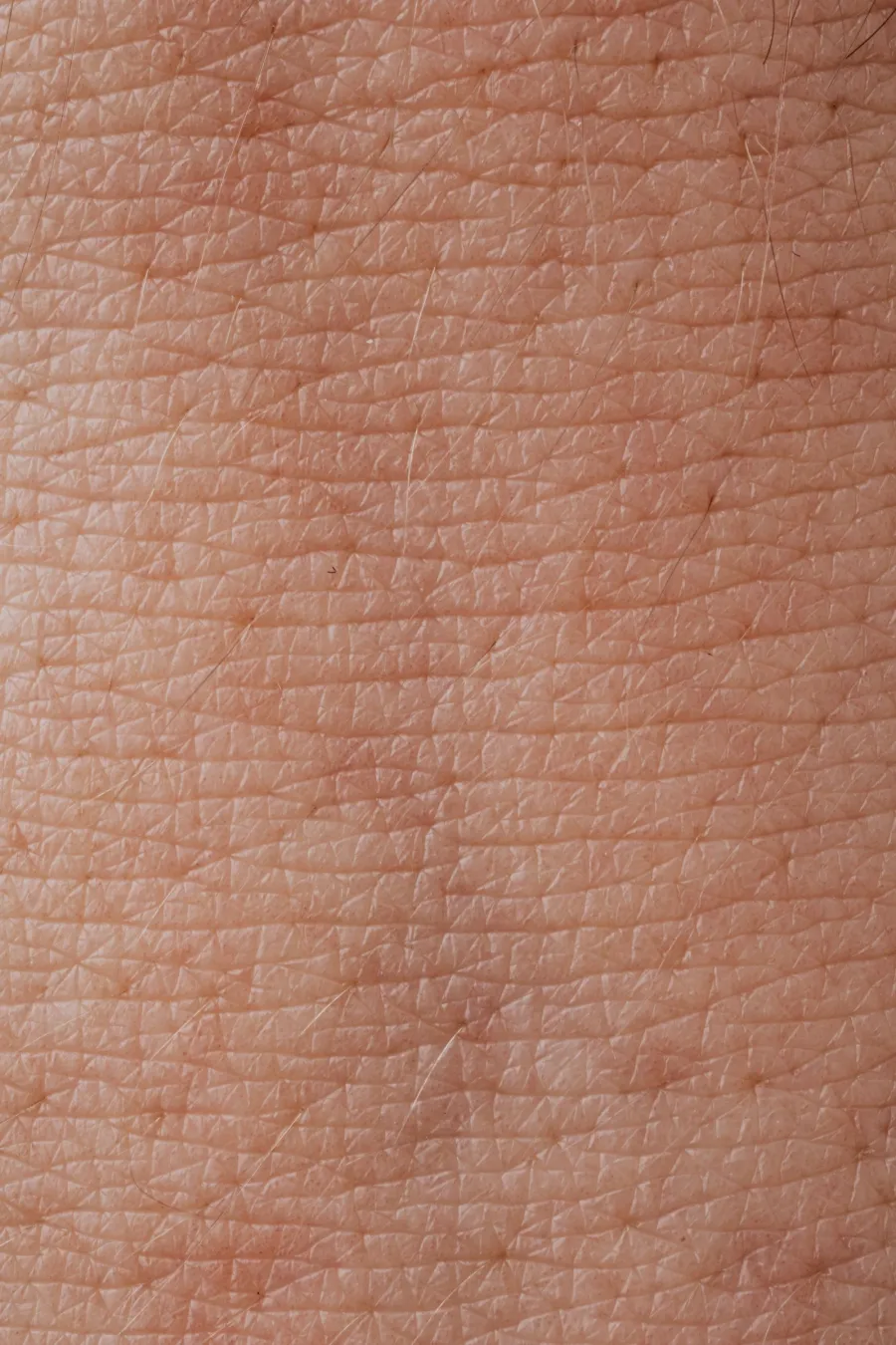 Macro close-up of skin pores and texture