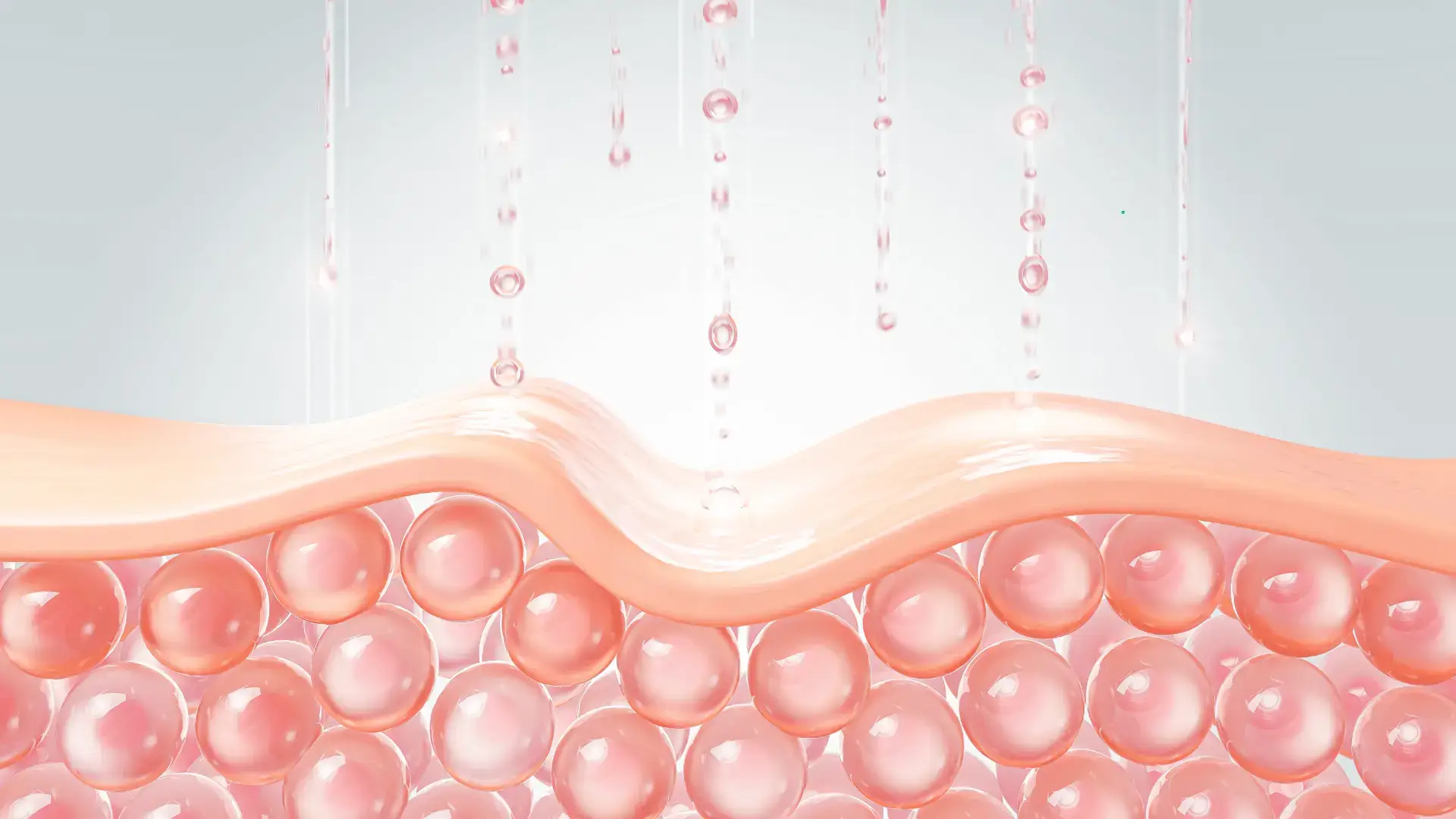 Digital illustration of a cross-section of skin tissue. The upper layer of the skin is depicted with a wavy contour, beneath which a layer of round, pink cells resembling the dermis is visible. Droplets of moisture are shown descending onto the skin's surface, suggesting hydration or skincare treatment.