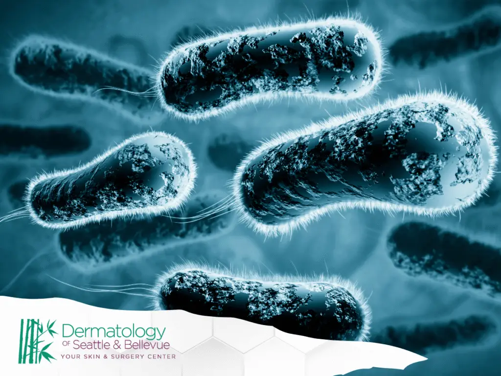 Close-up illustration of rod-shaped bacteria with fuzzy outer edges.